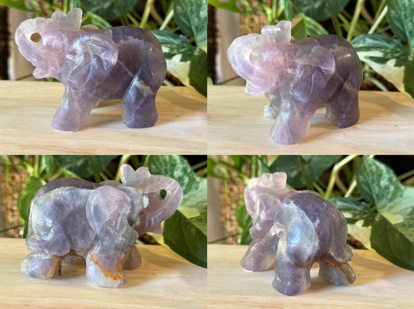 Fluorite Elephant Carvings (You Choose)
