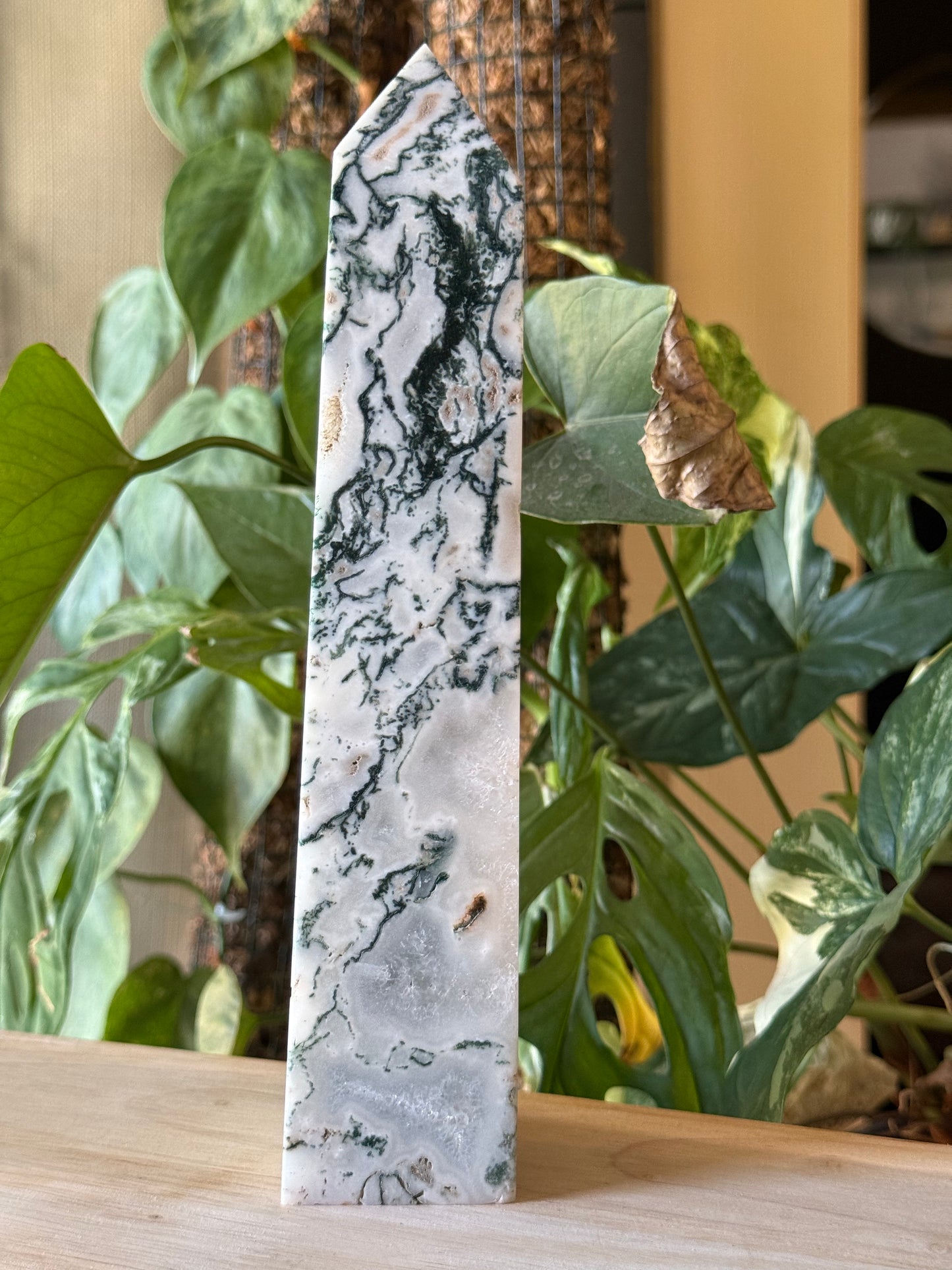 XL Moss Agate Towers